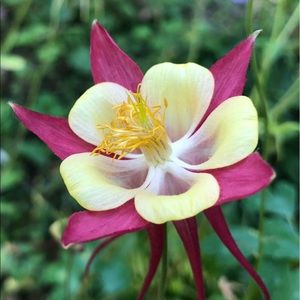 Meet your Posher, Mara